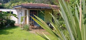 um pequeno chalé num jardim com uma palmeira em Studio avec jardin à 2km de L'Océan ! em Labenne
