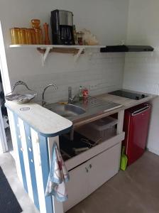 uma pequena cozinha com um lavatório e um balcão em Studio avec jardin à 2km de L'Océan ! em Labenne