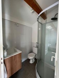 une salle de bain avec toilettes et douche en verre dans l'établissement Appartement bord de mer 2 personnes, à Sagone