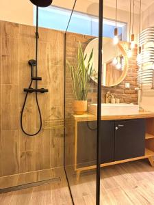 a bathroom with a shower with a sink and a mirror at Apartament21 in Dziwnów