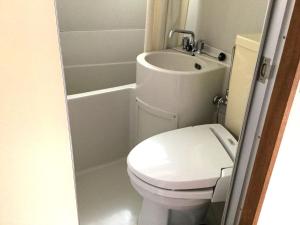 a small bathroom with a toilet and a sink at Nozawaonsen Guest House Miyazawa in Nozawa Onsen