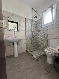 La salle de bains est pourvue d'une douche, d'un lavabo et de toilettes. dans l'établissement Villa Antonis deluxe apartments, à Amoudi