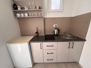 Kuchyň nebo kuchyňský kout v ubytování Guesthouse Civovic
