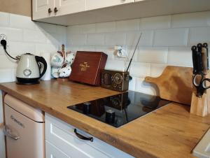 a kitchen with a counter top with a stove top oven at Gajóweczka in Jałowo +16 photos