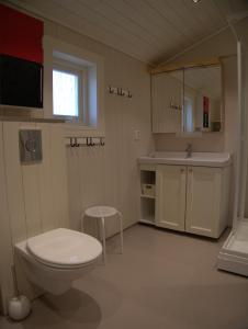 Klara House في Isfjorden: حمام مع مرحاض ومغسلة