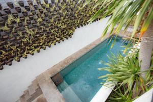 Фотография из галереи The Drupadi Apartments Town House LOLA в Семиньяк