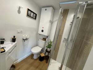 uma casa de banho com um WC e um chuveiro em RELAI DU CHATEAU APPARTHOTEL em La Tourlandry
