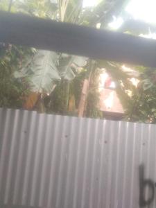 a view of a white fence and some plants at Hours home in Kolkata