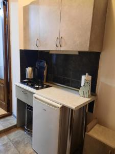 eine kleine Küche mit einer Arbeitsplatte und einem Kühlschrank in der Unterkunft D&D apartaments in Tbilisi City