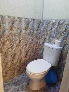 ein Bad mit einem WC und einer Marmorwand in der Unterkunft D&D apartaments in Tbilisi City + 18 Fotos