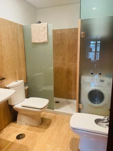 La salle de bains est pourvue de toilettes, d'une douche et d'un lavabo. dans l'établissement Apartamento San Agustín- Centro, à Grenade
