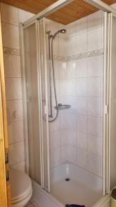 La salle de bains est pourvue d'une douche, d'une baignoire et de toilettes. dans l'établissement Pension Hof zur Stilli, à Davos
