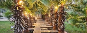 a path between two palm trees with a house at THE KALYANESHWAR DIXIT HOTELS & RESORTS in Karnal