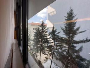 a window with a view of trees in a building at 102- Intimate Home in Ankara