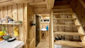 a room with wooden walls and shelves in a tiny house at SIA Kempings "Gabriels" in Ulmale