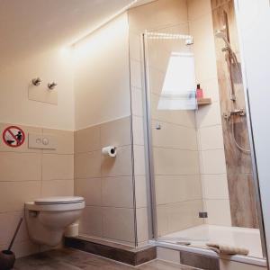 a bathroom with a shower and a toilet at Busch`s Gästehaus mit FeWo und Gästezimmer in Rust