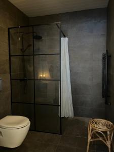 een badkamer met een douche, een toilet en een douchegordijn bij Nadia's Country View Home in Selfoss