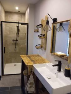 uma casa de banho com um lavatório e um chuveiro com um espelho. em La guitoune em Laroque
