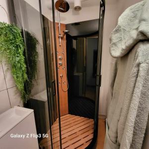 a shower with a glass door in a bathroom at La Rosée - Studio Zen à 50m des Thermes - Vue Casino, SDD hydromassante, Wifi, Netflix, Smart TV in Bourbonne-les-Bains