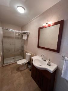een badkamer met een toilet, een wastafel en een douche bij Harizpe in Ondárroa
