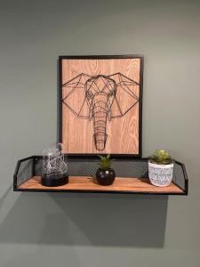 un estante con una foto de un elefante en él en Appartement 3 pièces, en Saint-Paul-et-Valmalle