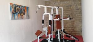 una sala con palestra e tapis roulant di Apartman Retro with gym a Murter