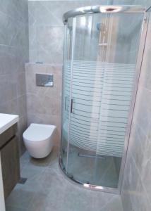 une salle de bain avec une douche en verre et des toilettes dans l'établissement ARTEMIS Studios & Apartments Sidari, à Sidari