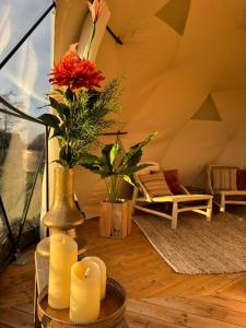 Χώρος καθιστικού στο TinyParks Eiland Tiengemeten