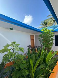 a white building with plants in front of it at The Happiness Sun Suites in Fodhdhoo