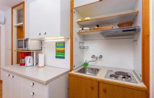 Kuchyňa alebo kuchynka v ubytovaní 1 Bedroom Cozy Apartment In Krk + 16 fotografií