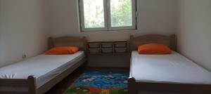 2 camas en una habitación con ventana y alfombra en Guest House Đurmani, en Čanj