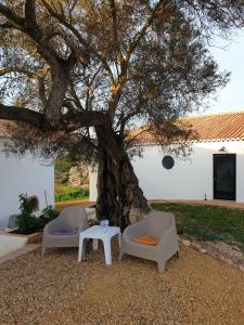 two chairs and a table under a tree at Monte das Açoteias - Agroturismo in Tavira