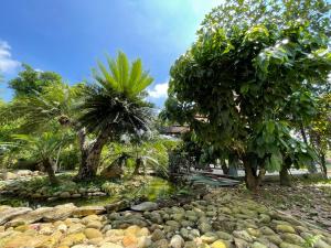 ogród z palmami i stawem w obiekcie PRIVATE LAKE House w mieście Hanoi