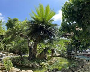 a palm tree in a pond in a garden at PRIVATE LAKE House in Hanoi