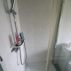 une douche avec une porte en verre et une brosse à dents. dans l'établissement Beautiful and Cozy 2 Bedroom Apartment Billericay, à Billericay