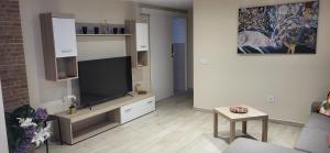 A television and/or entertainment centre at Apartamento El Montillo