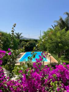 Výhled na bazén z ubytování Dabbanna nebo okolí
