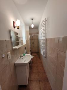 a bathroom with a sink and a shower at Ogrodzieniec Pokoje 59 in Ogrodzieniec +21 photos