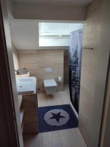 a small bathroom with a toilet and a sink at Ferienwohnung Schmidt in Bayerisch Eisenstein +15 photos