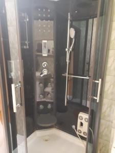 a shower with a glass door in a bathroom at Aleks in Zarasai