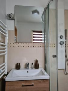 a bathroom with a sink and a shower at Casa Nico in Coşna +25 photos