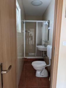 uma casa de banho com um WC e um lavatório em Apartments Klenovica Jadranka Čačić em Klenovica