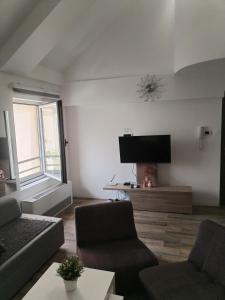 uma sala de estar com um sofá e uma televisão de ecrã plano em Centar Novi Sad-Apartman No 3 em Novi Sad