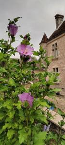 Zahrada ubytování Gîte l'Echauguette du Perche + 37 fotografií