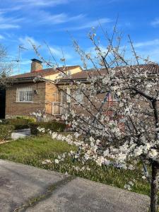 un arbre aux fleurs blanches devant une maison dans l'établissement Casa con jardín en Escalona, à Escalona