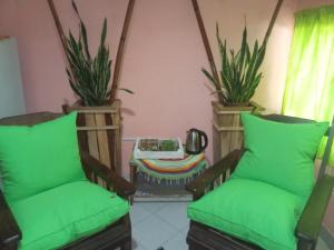 duas cadeiras verdes num quarto com plantas em Brisas del rio em Formosa