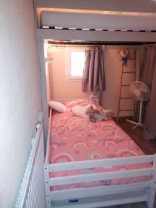 a dog laying on top of a bunk bed at Marina / maison de pêcheur in Le Barcarès