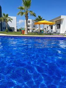 uma piscina azul com um guarda-sol e palmeiras em Maison des Oliviers, Yasmine Hammamet, Bouficha em Hammamet Sud