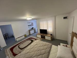 - une grande chambre avec un lit et une télévision dans l'établissement Piccola Casa Center Sarajevo, à Sarajevo