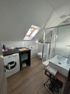 a bathroom with a washing machine and a sink at Le Cosy Home Annecy in La Balme-de-Sillingy